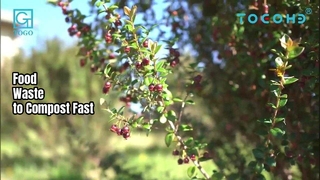 Kompostownik do odpadów spożywczych o pojemności 50 kg. Kompost 24-godzinny